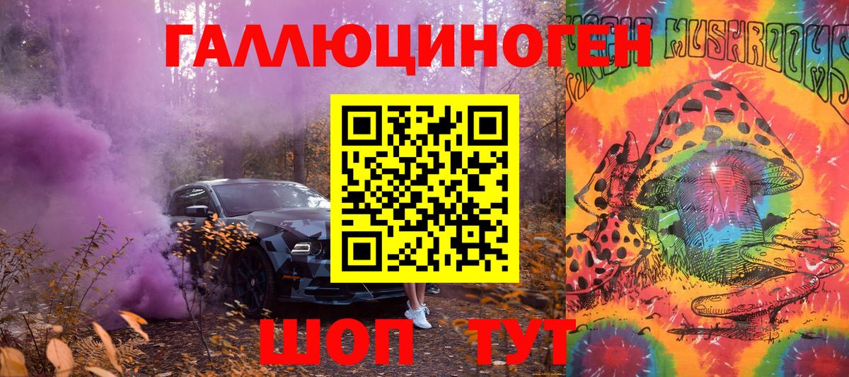 Чайковский  Псилоцибиновые грибы Psilocybe  Вход с VPN 
