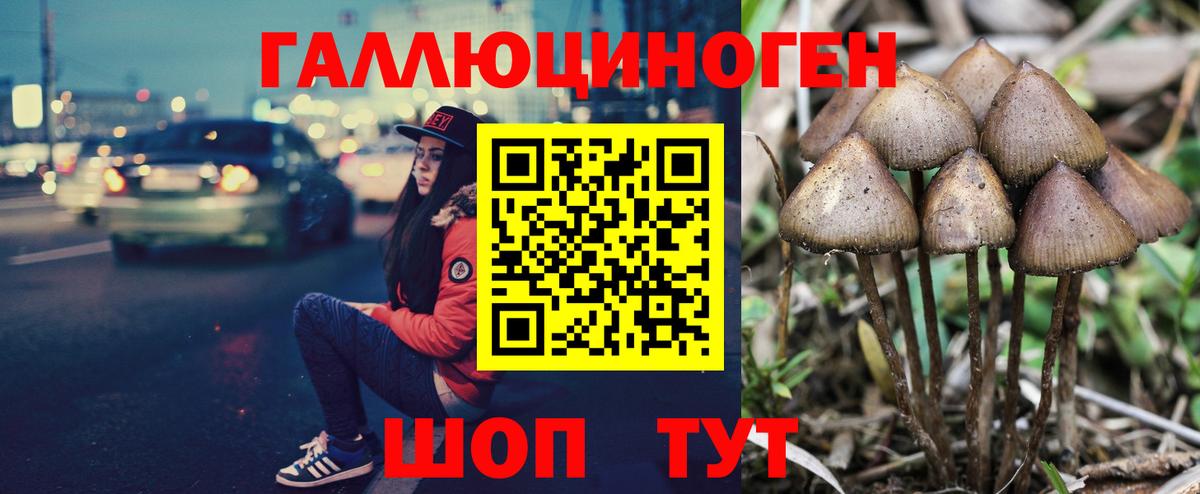 Псилоцибиновые грибы ЛСД Чайковский