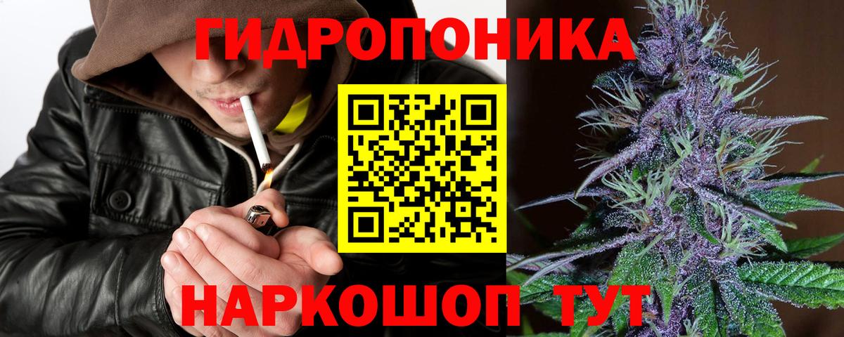 Каннабис марихуана  Конопля план  Вход с VPN  Чайковский 